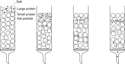Extraction and Purification of Membrane Proteins