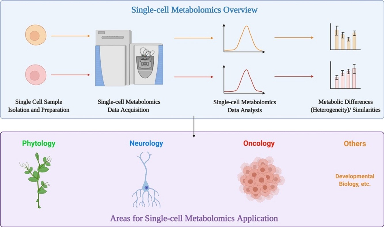Single Cell Metabolomics Analysis Services