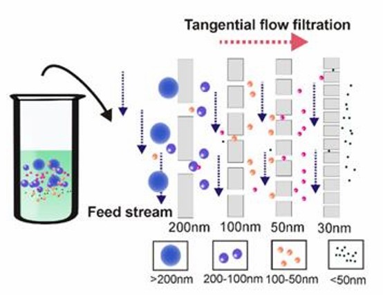 Tangential flow filtration technology