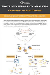 label-transfer-crosslinking-protein-interaction-analysis