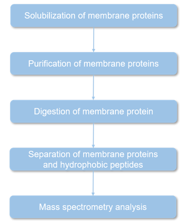 The process of membrane protein identification service
